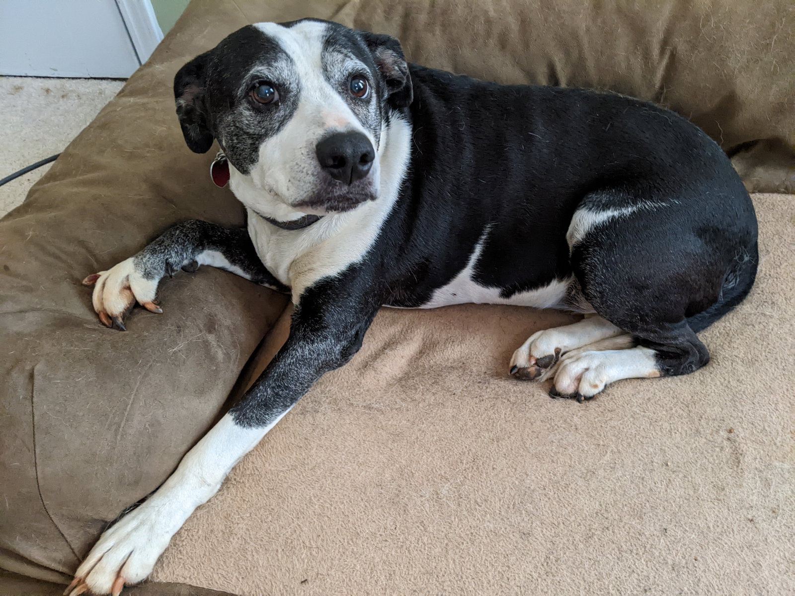 Maggie Jane