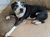 Maggie Jane - Photo 1