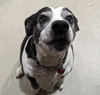 Maggie Jane - Photo 2
