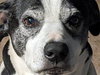 Maggie Jane - Photo 3