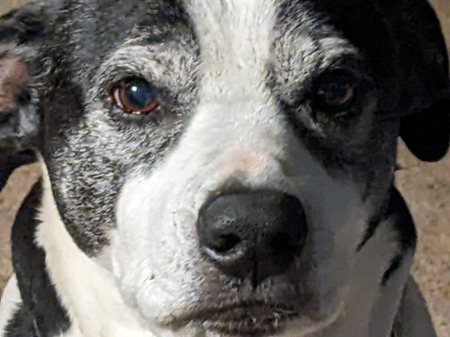 Maggie Jane, photo 3