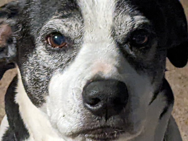 Maggie Jane