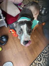 Zuri BP - Photo 2