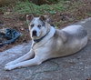 Blaze - Photo 2