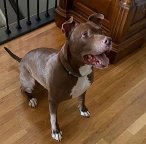 Lucky Mars