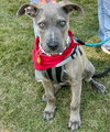 Brooks - Photo 3