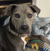 Brooks - Photo 1