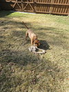 Thunderbolt - Photo 3