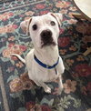 Coleman Frosty - Photo 2