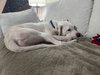 Coleman Frosty - Photo 3