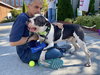 Dudley - Photo 3