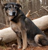 Saban Sr - Photo 1