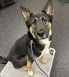 Tom Tom - Photo 2