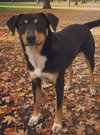 Skeeter Bartow - Photo 2