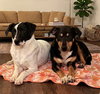 Skeeter Bartow - Photo 3