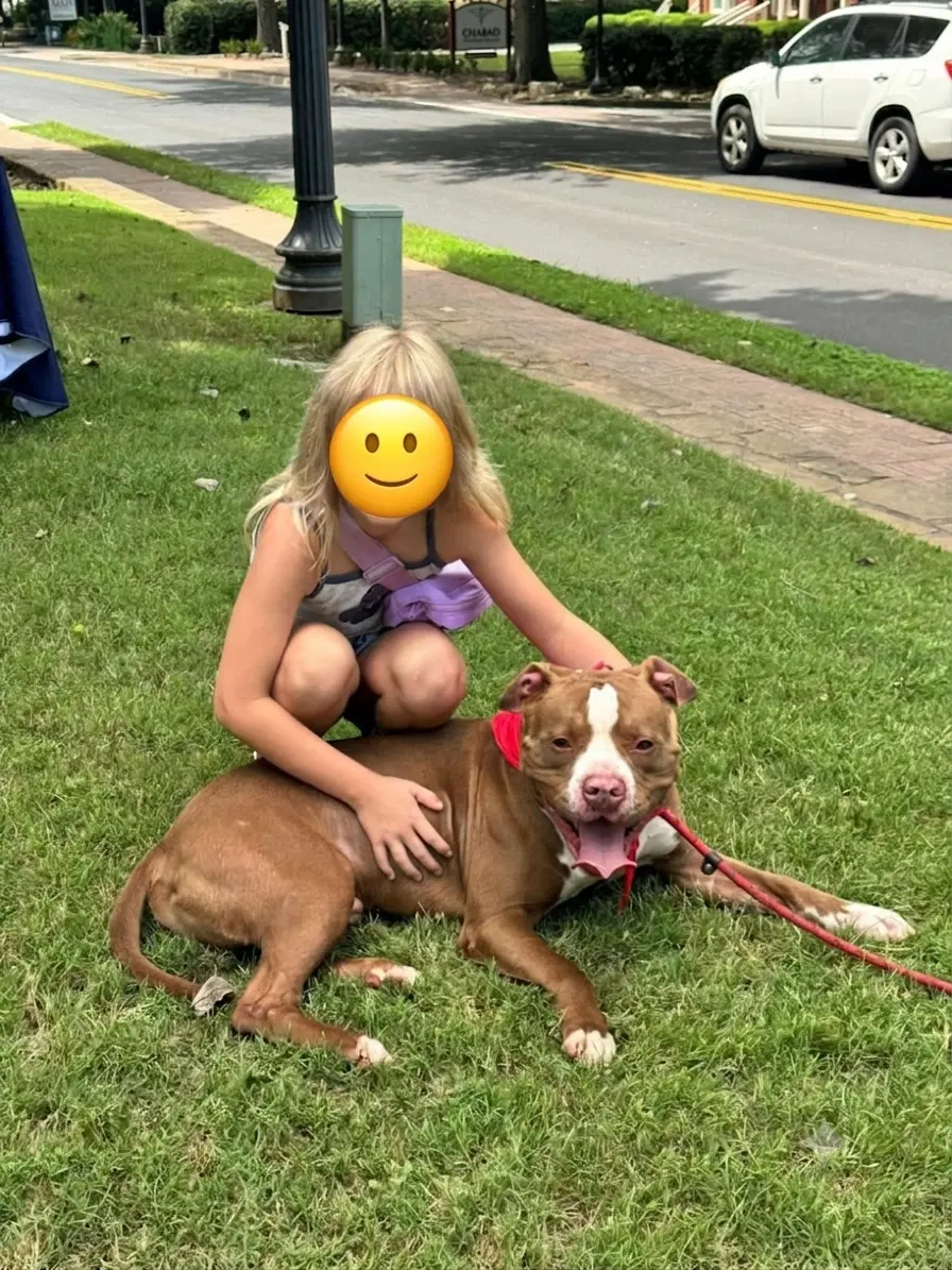 Biloxi image 3