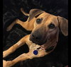 Sandi Walton - Photo 3