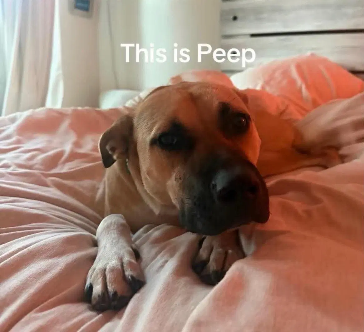 Peep image 2