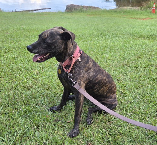 Photo 2 of Athena