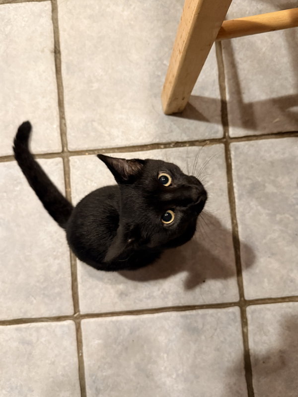 Oscar