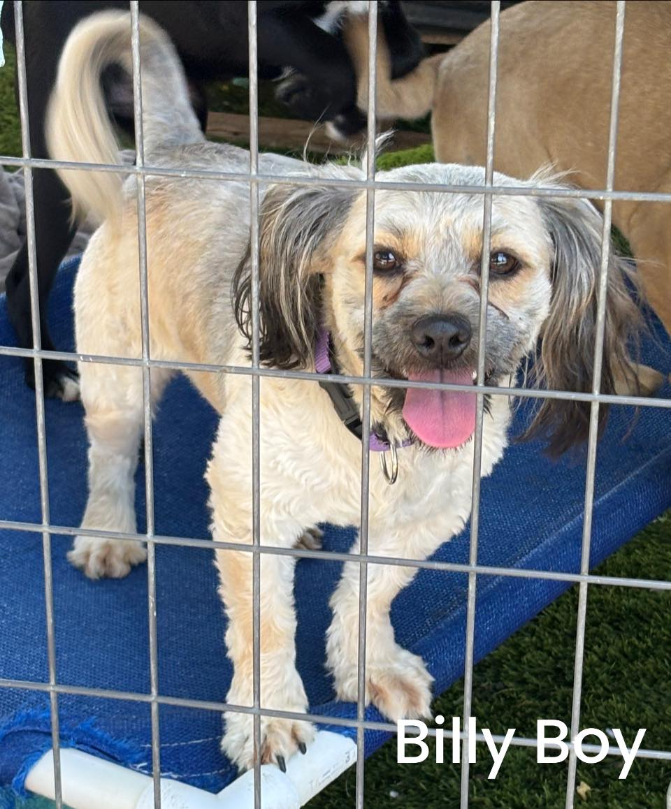 Billy-Bob