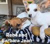 Barbara Jean - Photo 2