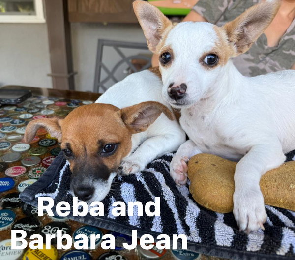 Barbara Jean