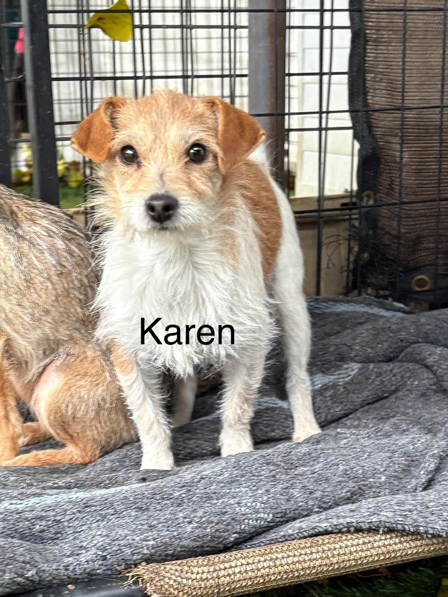 Karen Image