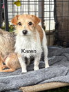 Karen - Photo 1