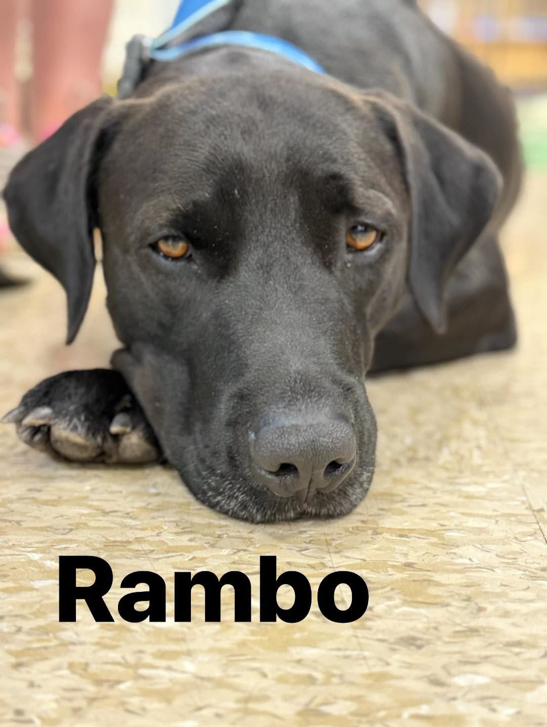 Rambo