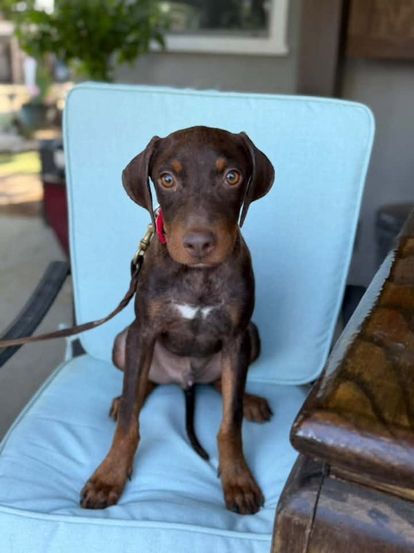 Boudreaux