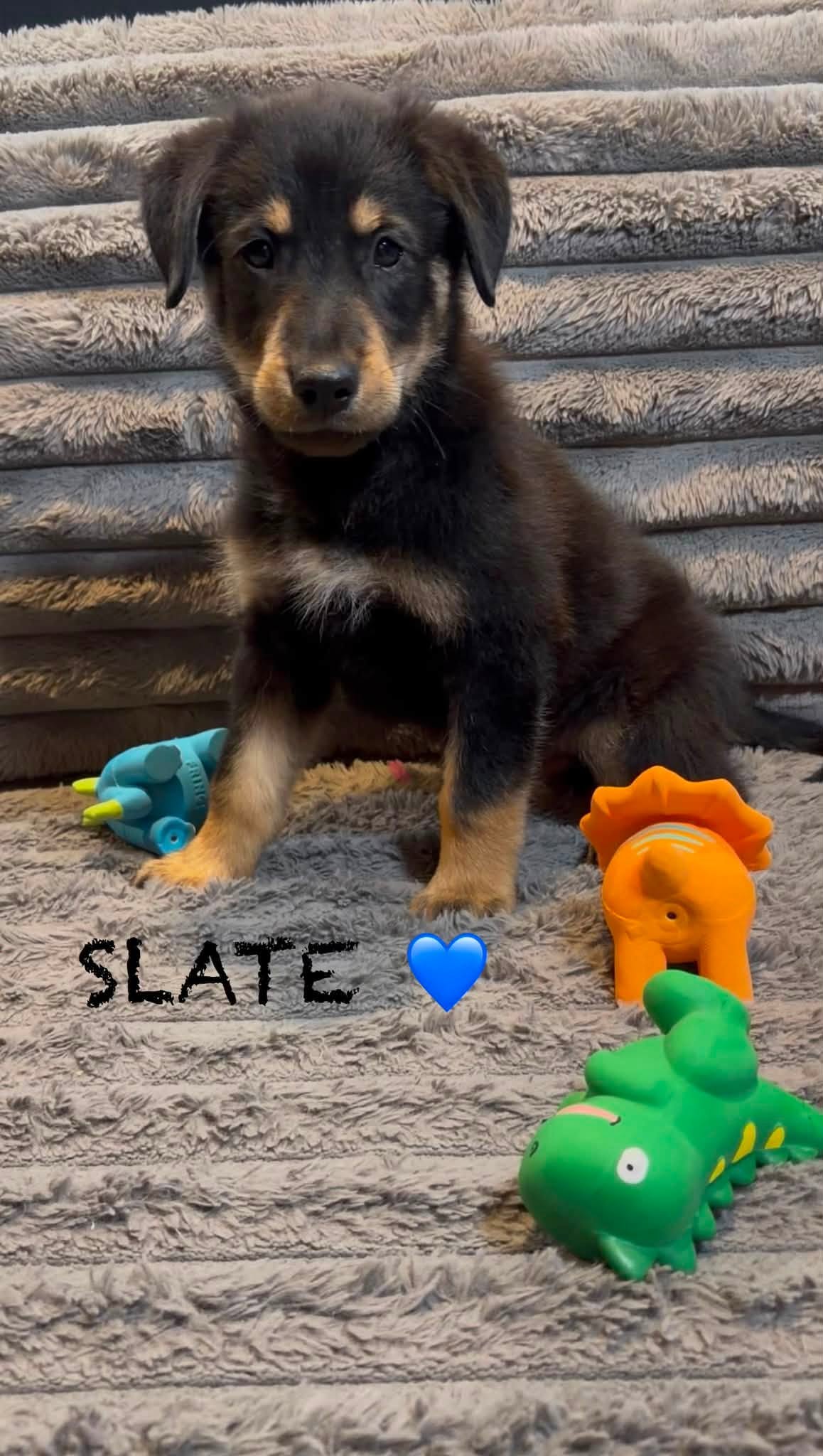 Slate