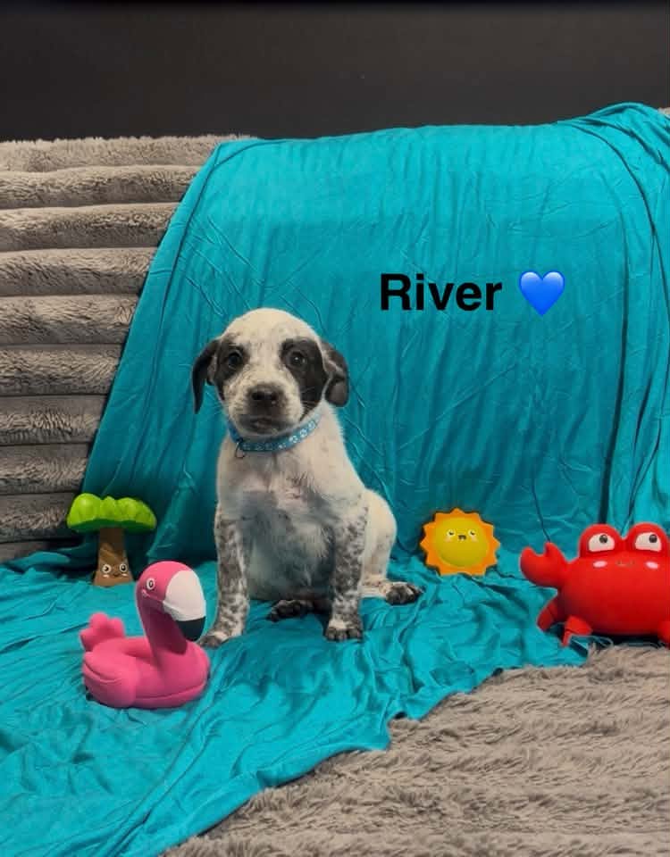 River