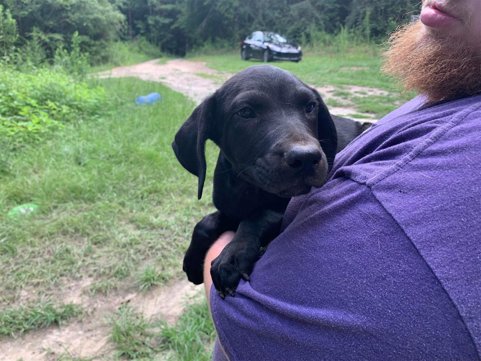 adoptable Dog in Loganville, GA named Janko