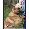 adoptable Dog in Loganville, GA named Florence