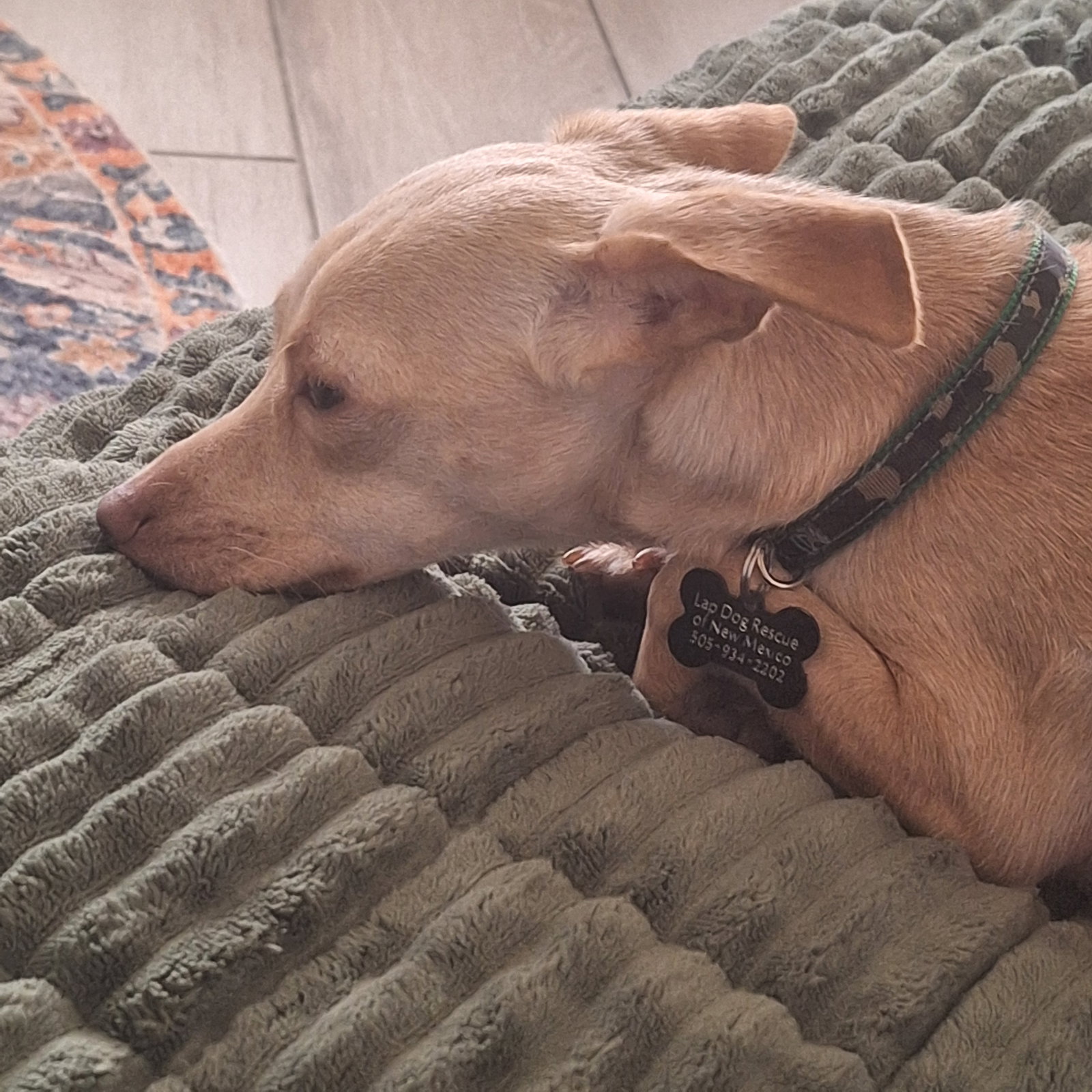 Pickles 4494, photo 7