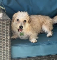 Rolo, photo 3