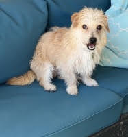 Rolo, photo 4