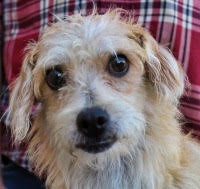 Rolo, photo 6