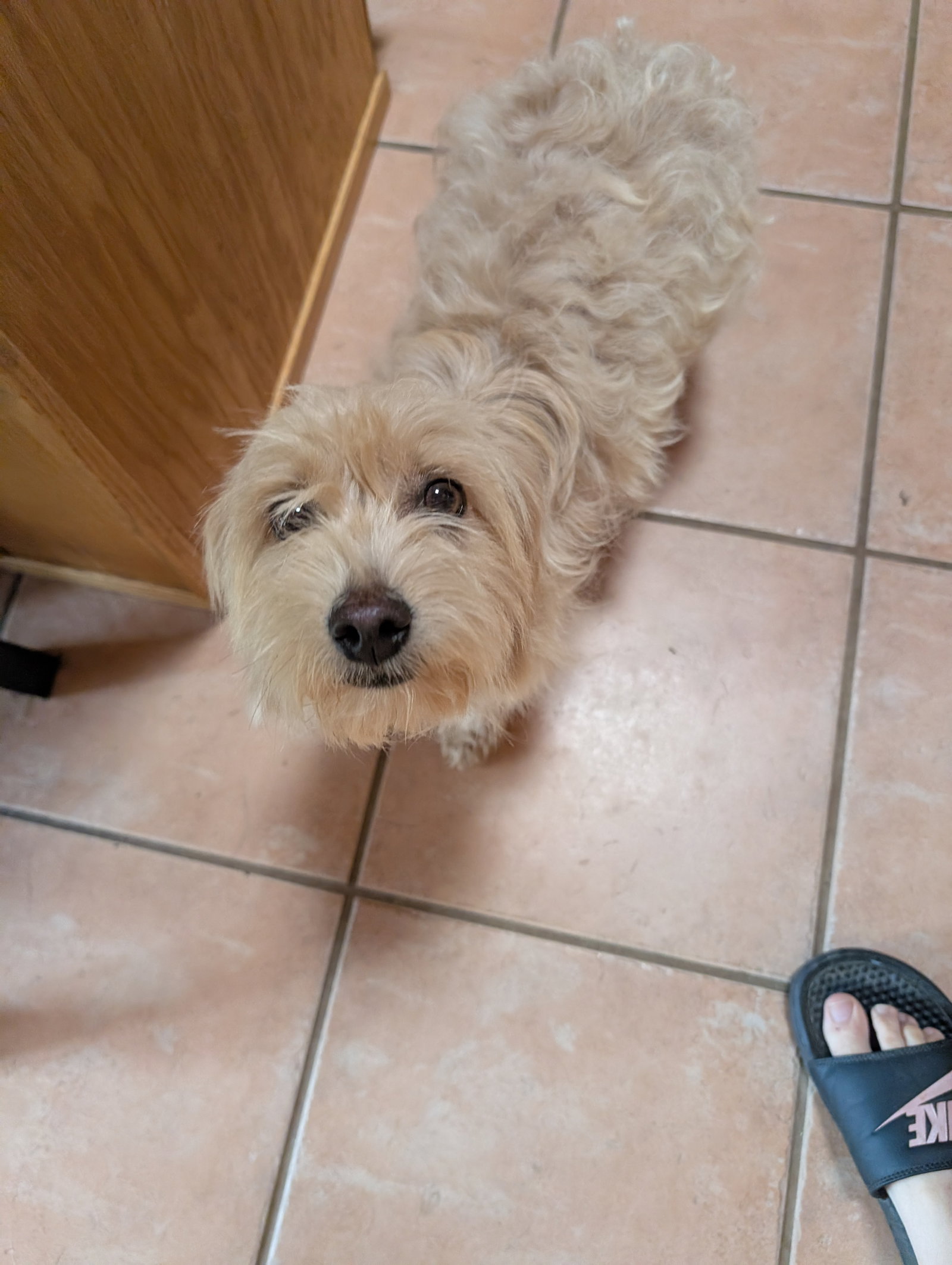 Mila 4544, photo 2