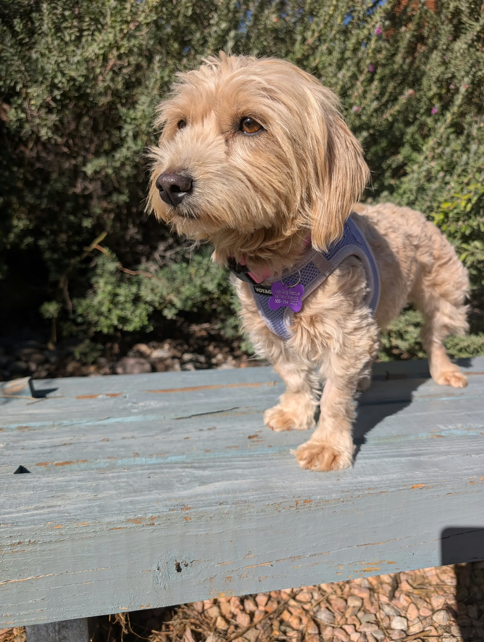 Mila 4544, photo 5