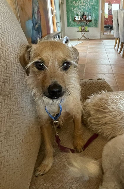 Wally 4553, photo 2