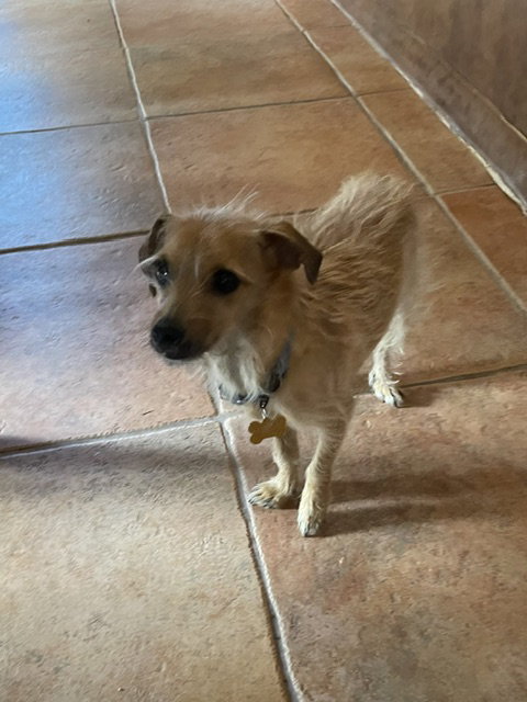 Wally 4553, photo 7