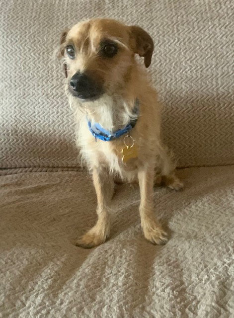 Wally 4553, photo 10