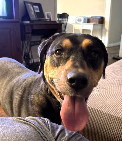 Photo of Mack