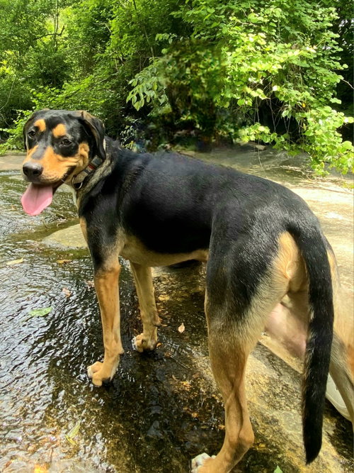 Photo of Mack