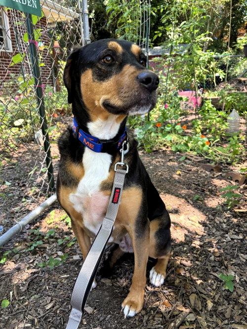Photo of Mack