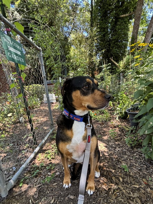Photo of Mack