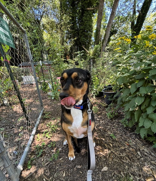 Photo of Mack