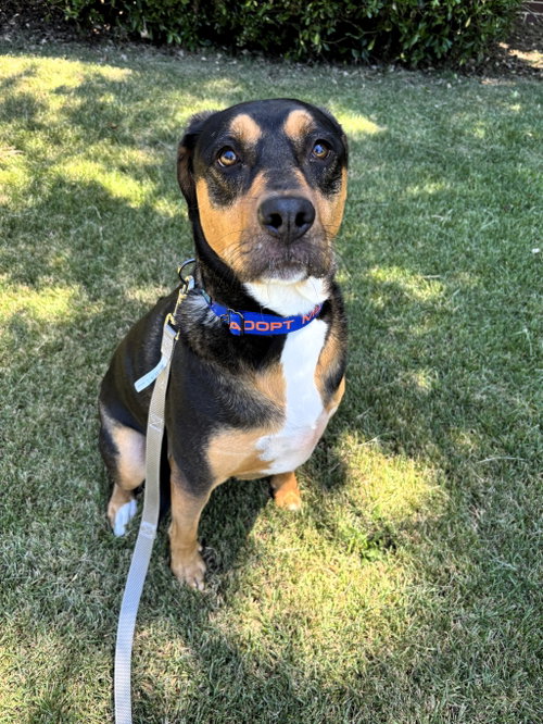Photo of Mack